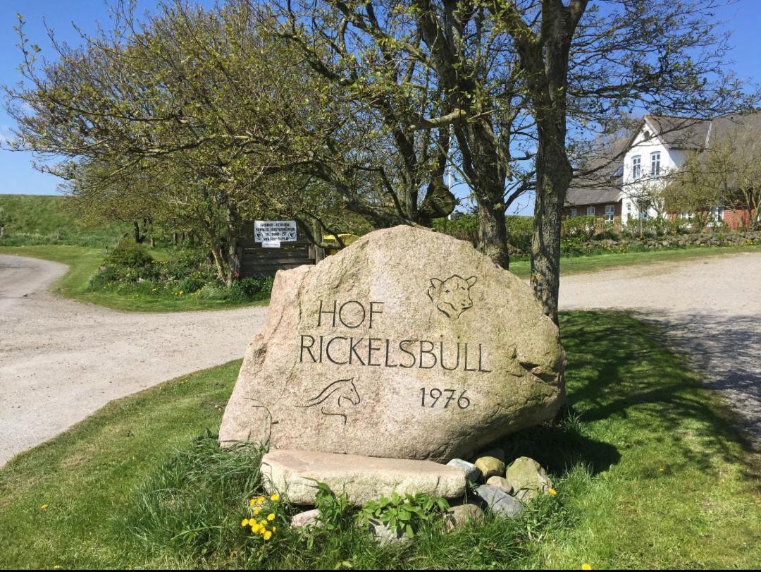 Hof Rickelsbuell - Nordseeurlaub Auf Dem Biobauernhof Rodenas Exterior photo