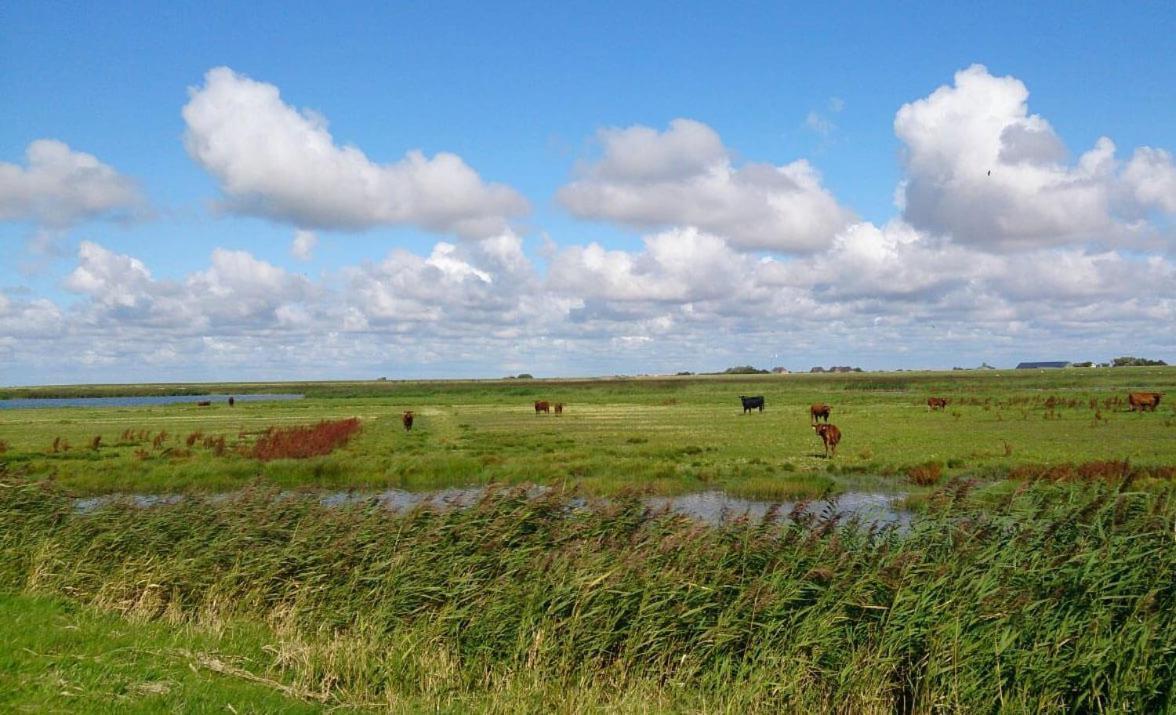 Hof Rickelsbuell - Nordseeurlaub Auf Dem Biobauernhof Rodenas Exterior photo