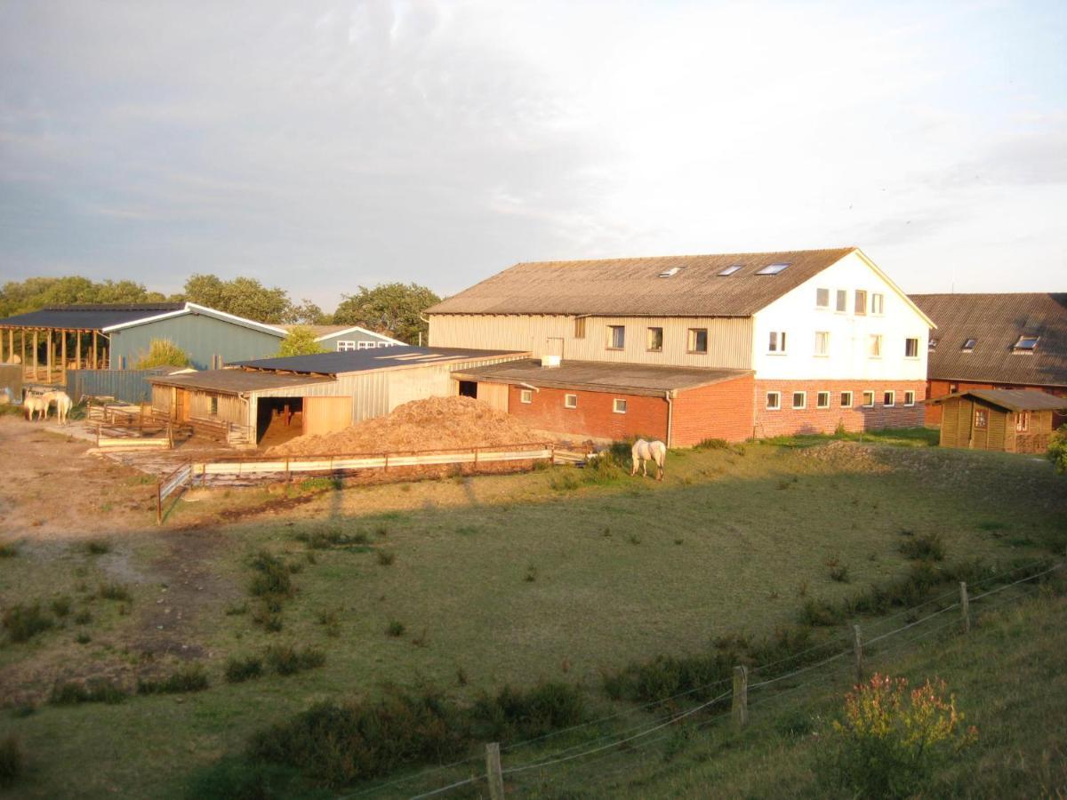 Hof Rickelsbuell - Nordseeurlaub Auf Dem Biobauernhof Rodenas Exterior photo