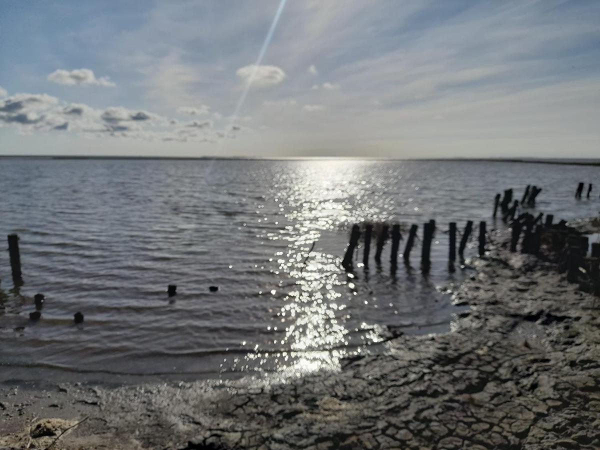 Hof Rickelsbuell - Nordseeurlaub Auf Dem Biobauernhof Rodenas Exterior photo